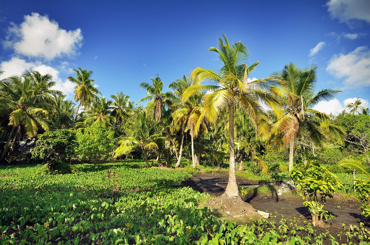 découvrez les îles parfaites pour une lune de miel inoubliable, avec leurs plages paradisiaques, paysages romantiques et activités exclusives pour les couples.