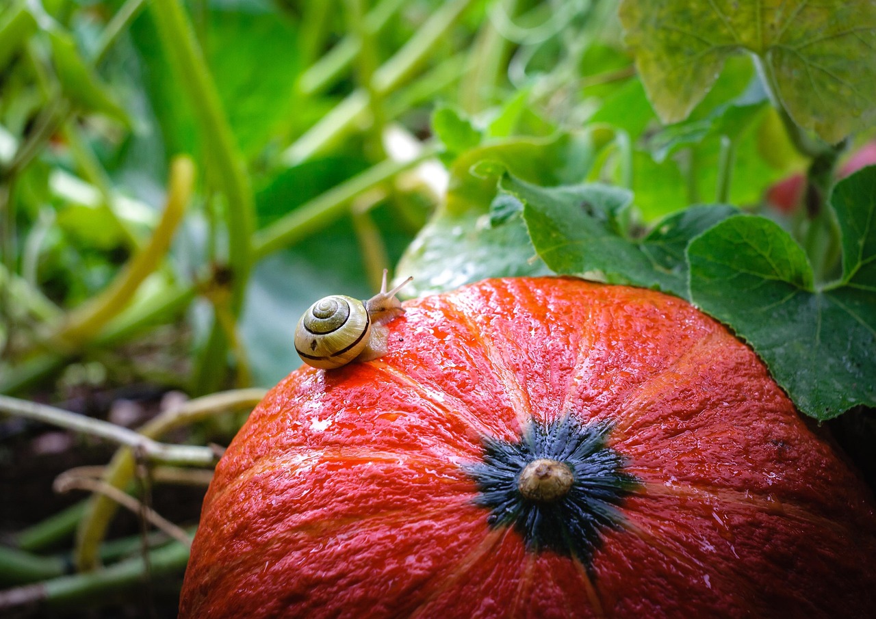d&eacute;couvrez le slow travel, une approche du voyage ax&eacute;e sur la lenteur, l'immersion locale et le respect de l'environnement pour vivre des exp&eacute;riences authentiques et durables.