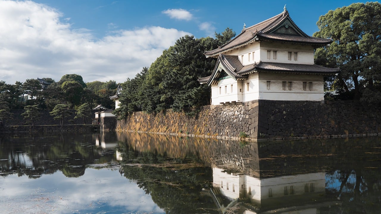 d&eacute;couvrez le guide culturel de survie &agrave; tokyo : conseils pratiques, traditions locales et astuces pour vivre pleinement l'exp&eacute;rience japonaise.