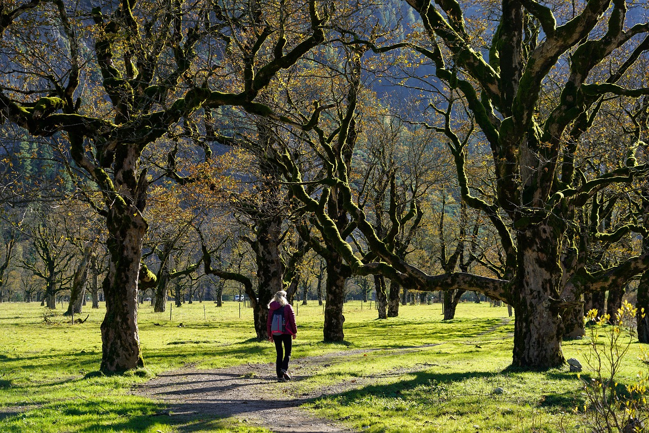 offrez-vous une escapade inoubliable avec un week-end romantique. découvrez nos idées et conseils pour vivre des moments à deux, entre détente, découvertes et complicité. destination idéale pour raviver la flamme et créer de précieux souvenirs.