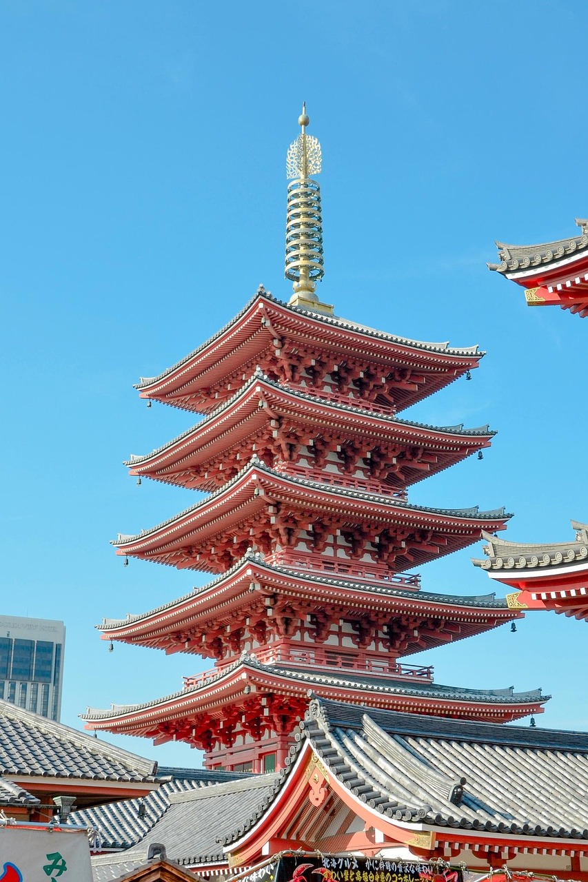 découvrez le guide de survie culturelle à tokyo pour explorer les traditions, coutumes et incontournables de la capitale japonaise en toute authenticité.