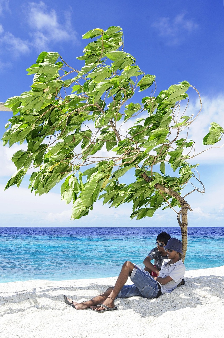 découvrez les îles de lune de miel idéales pour une escapade romantique inoubliable. plages paradisiaques, paysages idylliques et atmosphère magique pour votre voyage amoureux.