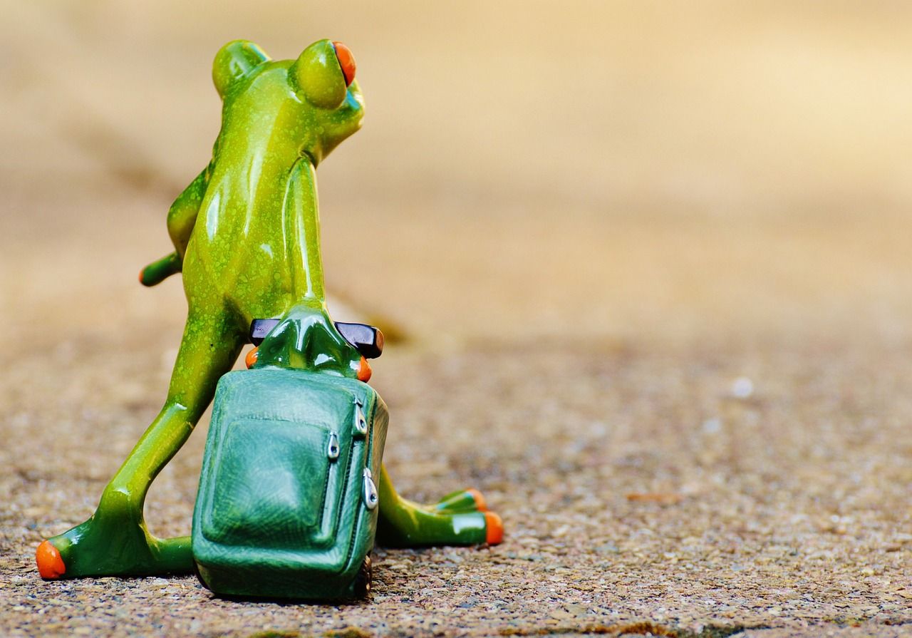 découvrez des conseils de voyage, des destinations incontournables, et les meilleures astuces pour planifier vos prochaines aventures à travers le monde.