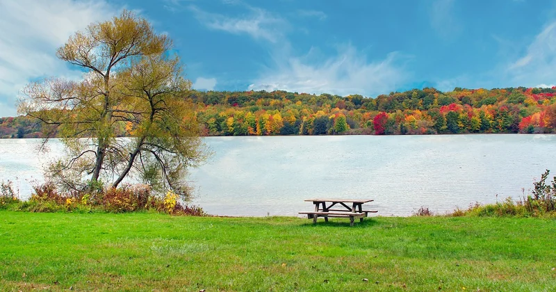 Aire classique, aire couverte, aire au bord de l'eau : ce qui change vraiment