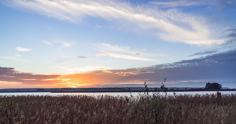 Que faire sur la rive allemande du lac de Constance ?