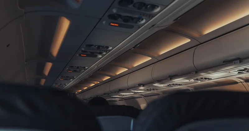 Comment sont les avions French bee ?