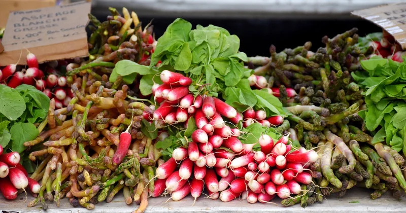 Le marché : le rendez-vous qui vaut le détour