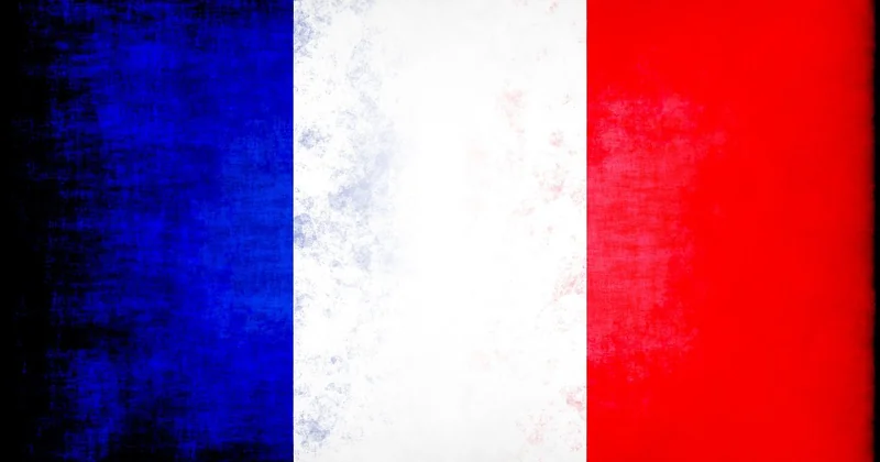 Le statut français : un avantage qu'on sous-estime