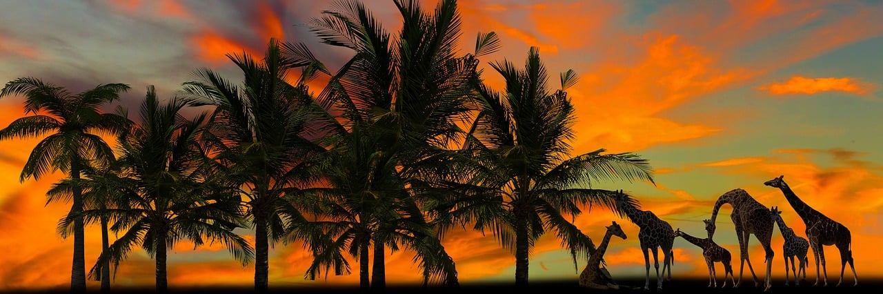 Aventures familiales : Comment occuper les enfants pendant 15h de vol partez à l'aventure en famille et découvrez des activités passionnantes, des idées de voyages et des conseils pour vivre des moments inoubliables avec vos proches.