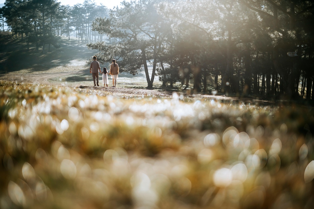 Voyage en famille au Costa Rica : 2 semaines d'aventures découvrez nos meilleurs conseils et destinations pour voyager en famille. préparez votre prochain voyage familial en toute sérénité grâce à des astuces pratiques, des idées d'activités pour enfants et des recommandations d'hébergement adaptées à tous les âges.