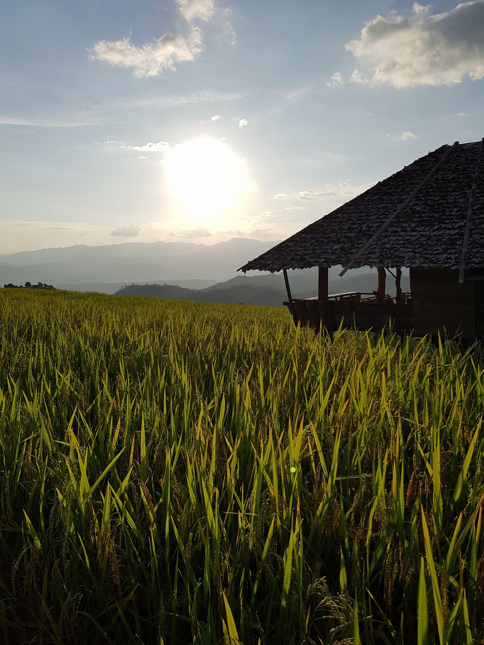 trouvez le homestay idéal pour votre séjour : une immersion authentique chez l’habitant, confort, échanges culturels et hébergement personnalisé adaptés à vos besoins en toute sécurité.