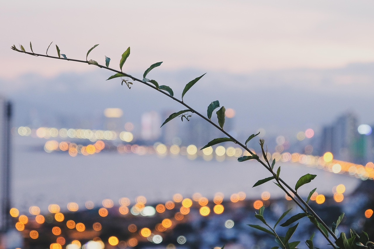 découvrez le concept de homestay : séjournez chez l’habitant pour vivre une expérience authentique, conviviale et enrichissante lors de vos voyages en france ou à l’étranger.