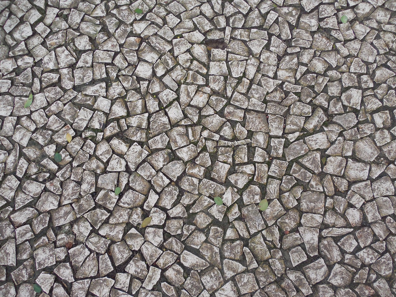 découvrez la richesse de la cuisine portugaise : recettes traditionnelles, saveurs authentiques, spécialités gourmandes et conseils pour cuisiner des plats typiques du portugal chez vous.
